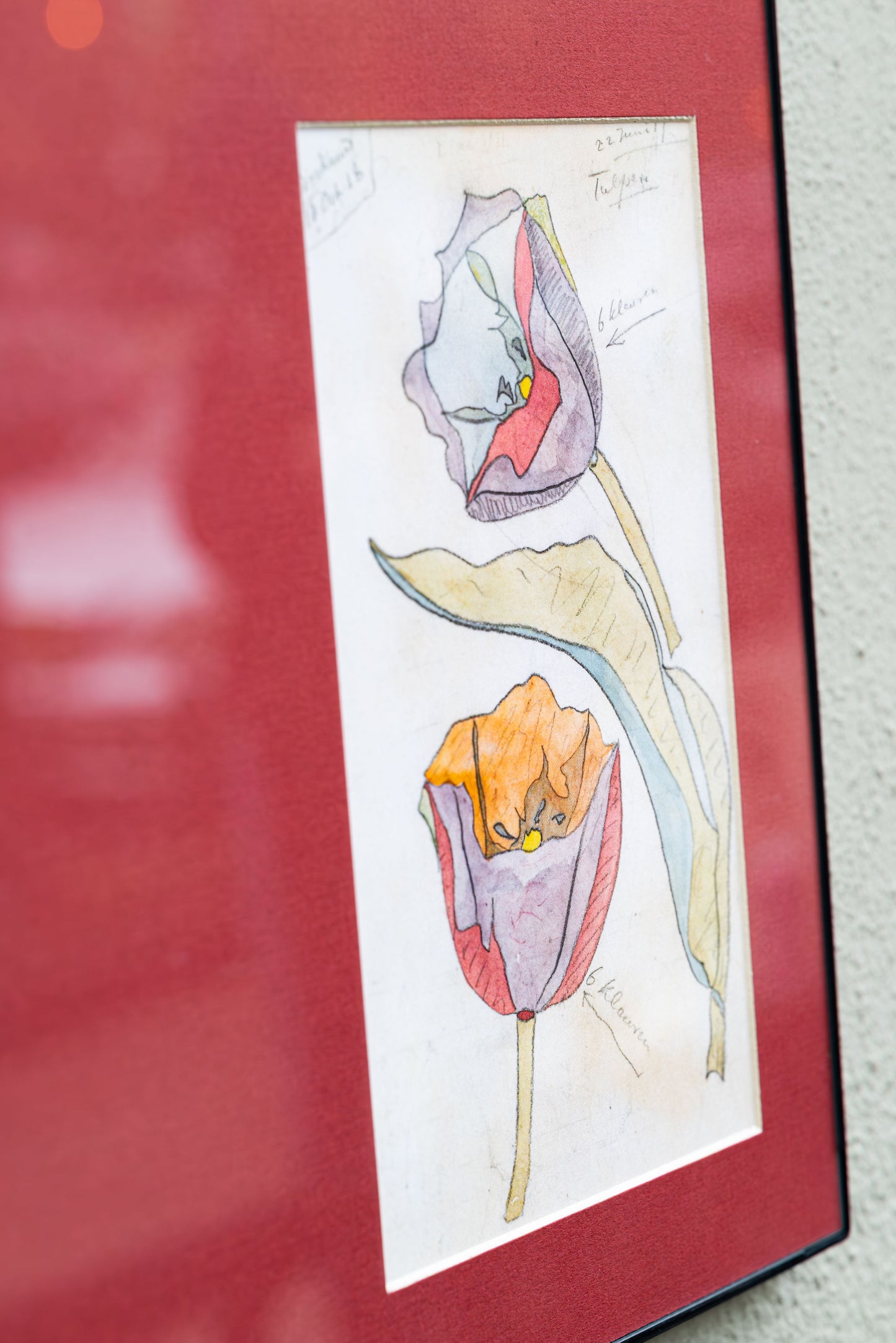 Theo Colenbrander – Tulpen Pencil & Watercolor Print