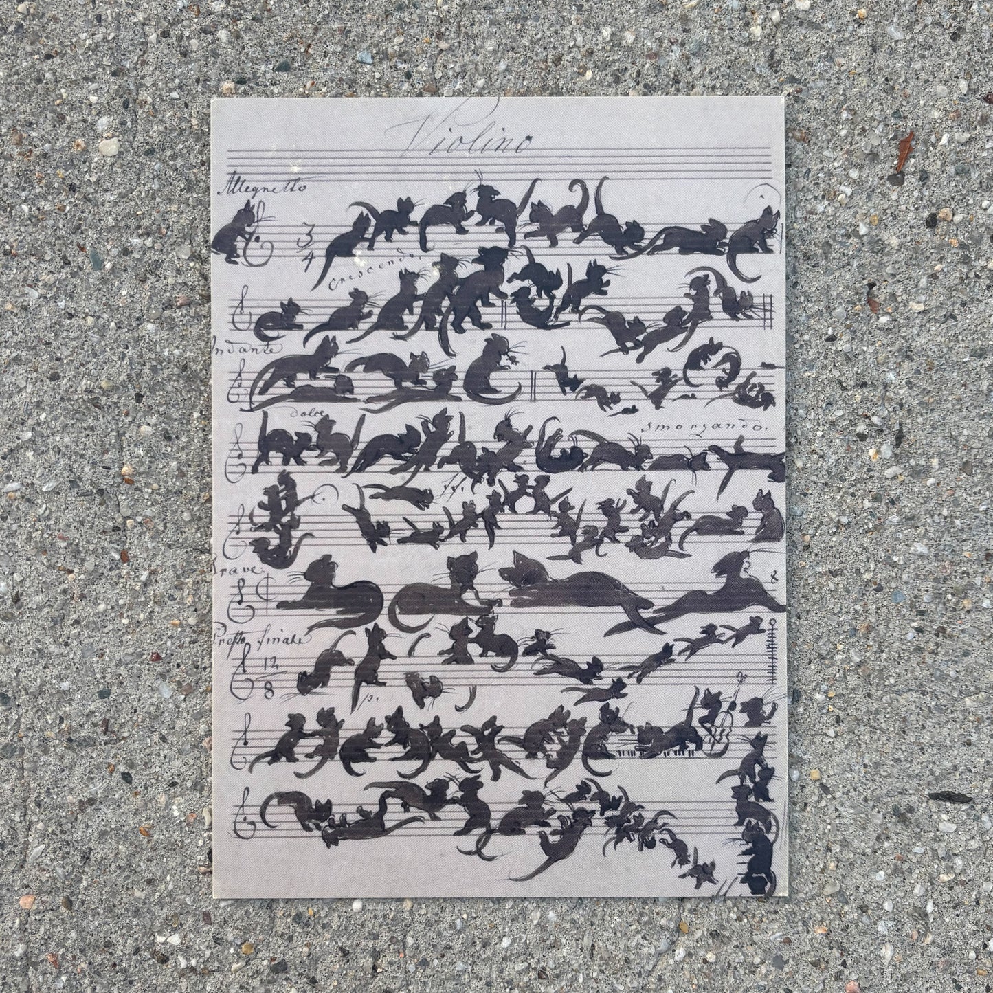 Katzensymphonie 5x7 Postcard