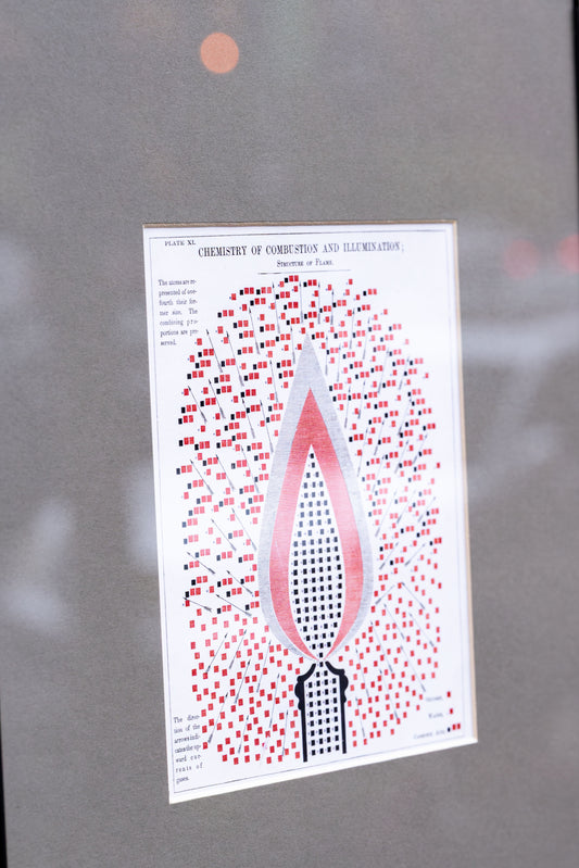 Edward Livingston Youmans – Chemistry of Combustion