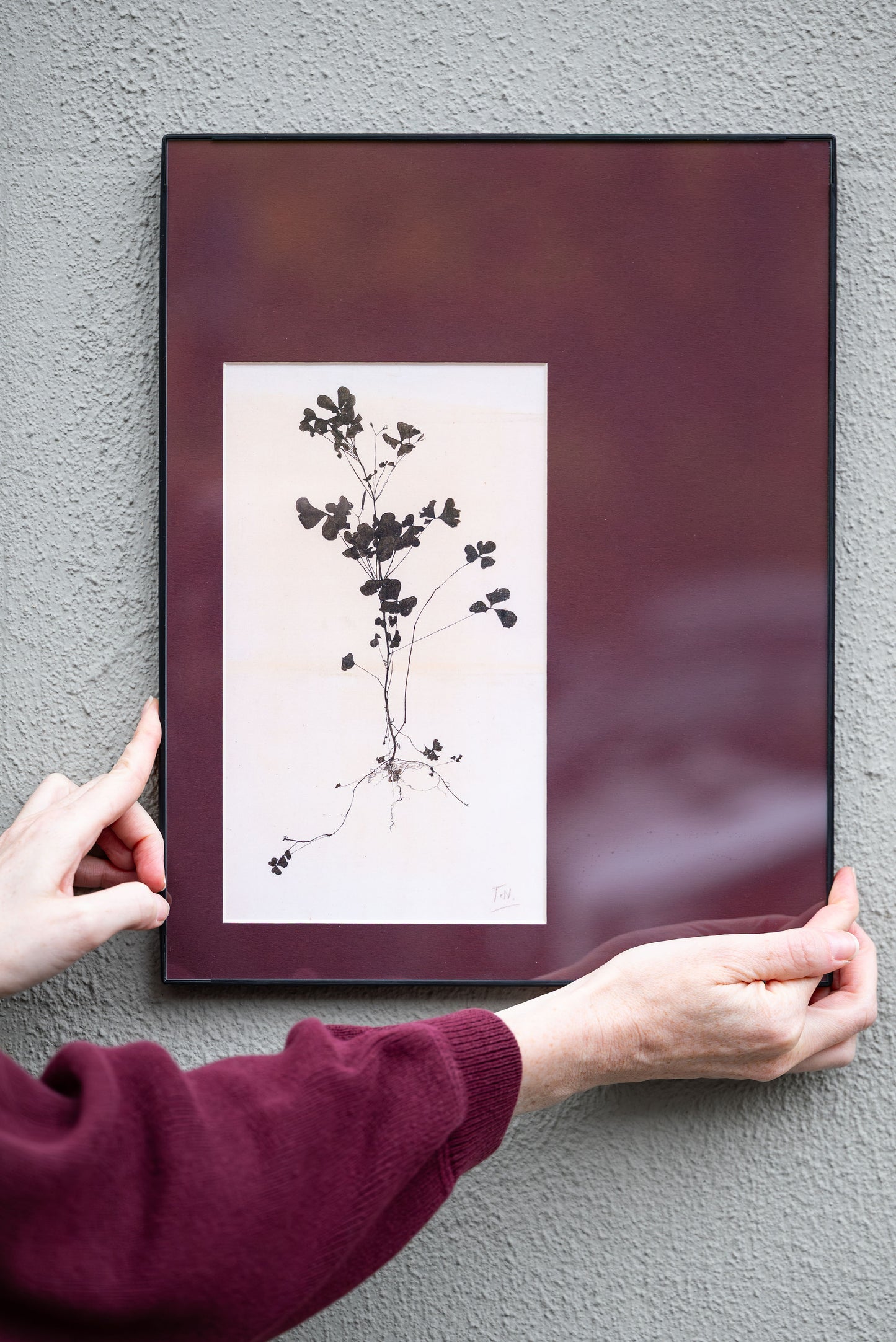 Theo Nieuwenhuis – Bloeiende Plant Print