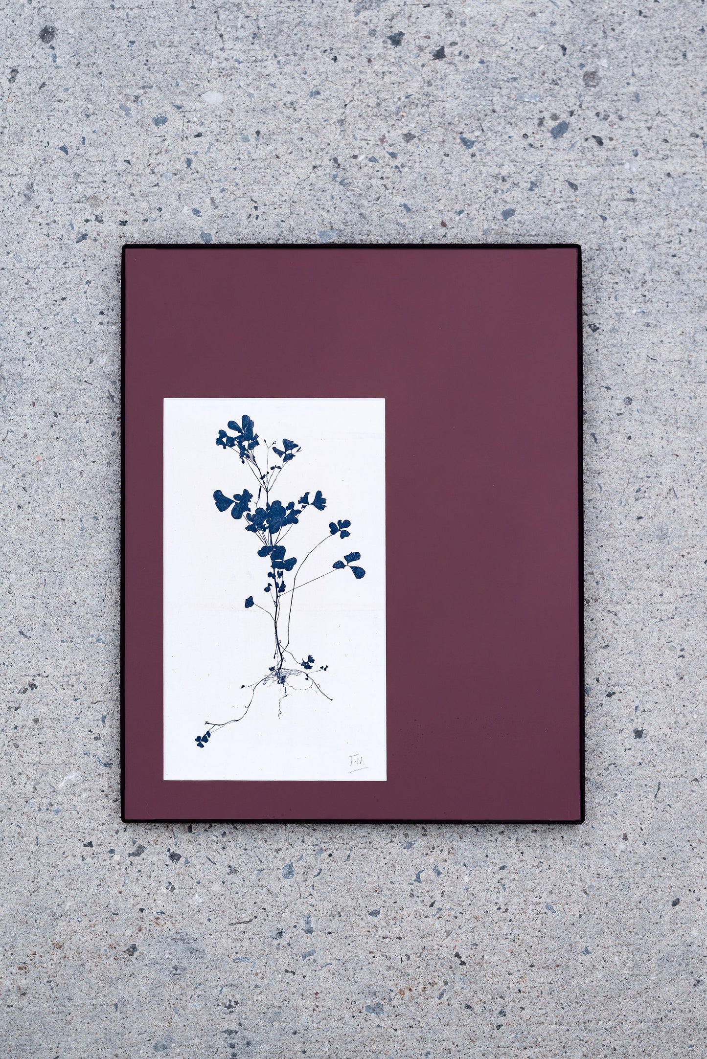 Theo Nieuwenhuis – Bloeiende Plant Print