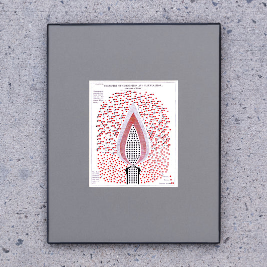 Edward Livingston Youmans – Chemistry of Combustion