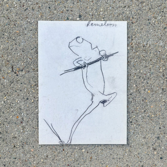 Kameleon 5x7 Postcard