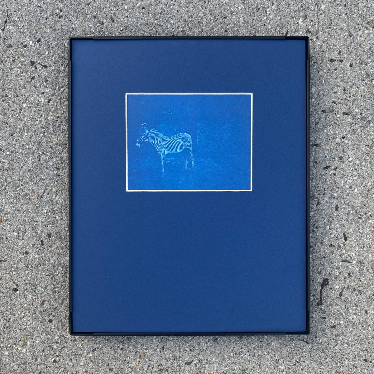 8"x10" Cyanotype Set of Six