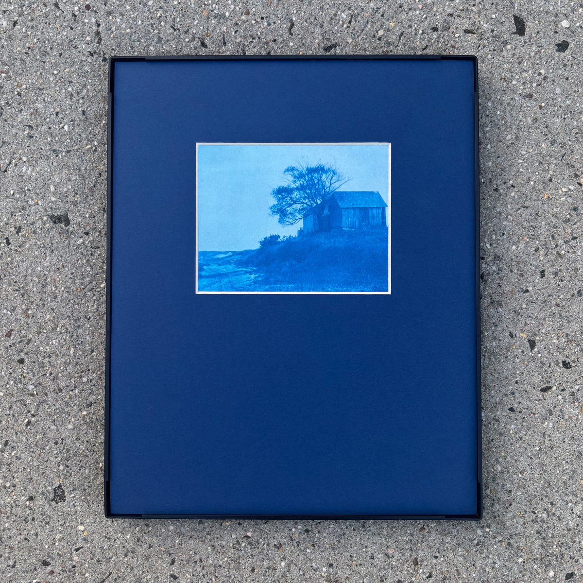 8"x10" Cyanotype Set of Six