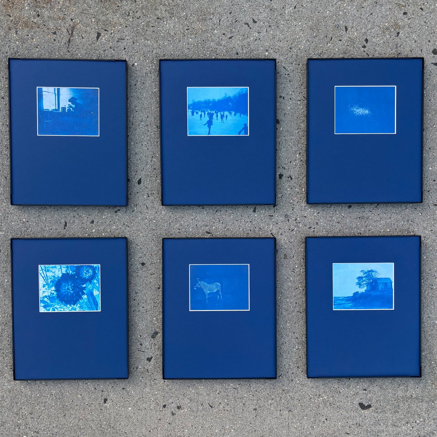 8"x10" Cyanotype Set of Six