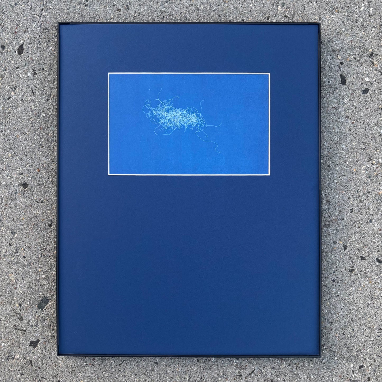 11"x14" Cyanotype Set of Six