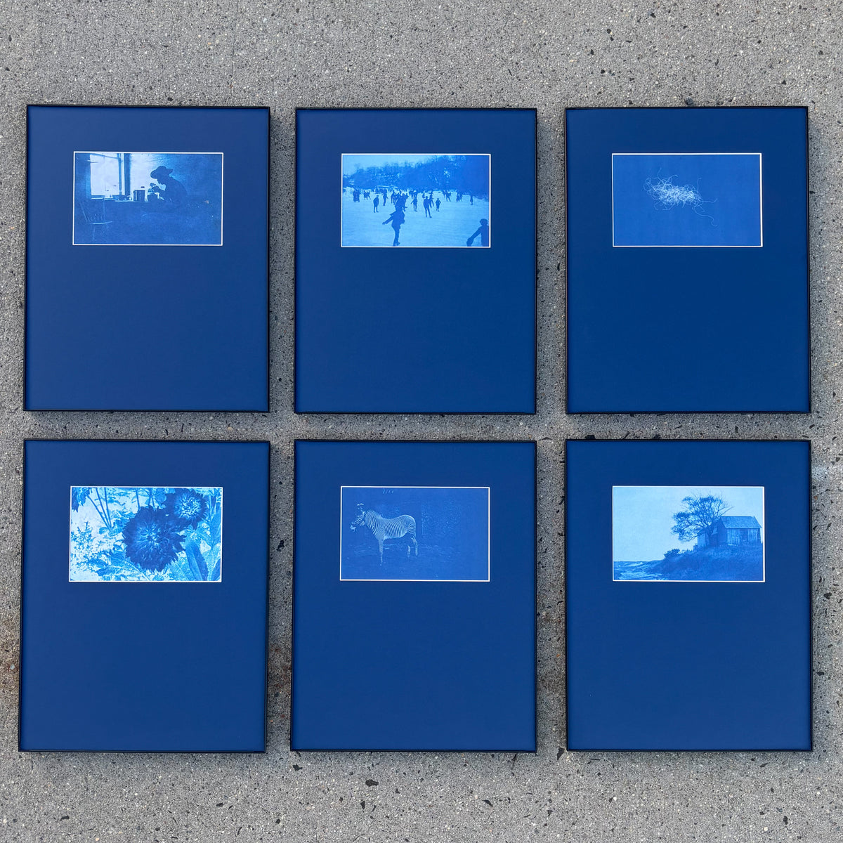 11"x14" Cyanotype Set of Six