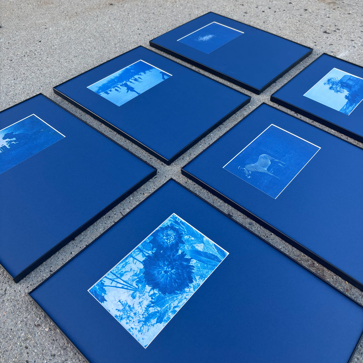 11"x14" Cyanotype Set of Six