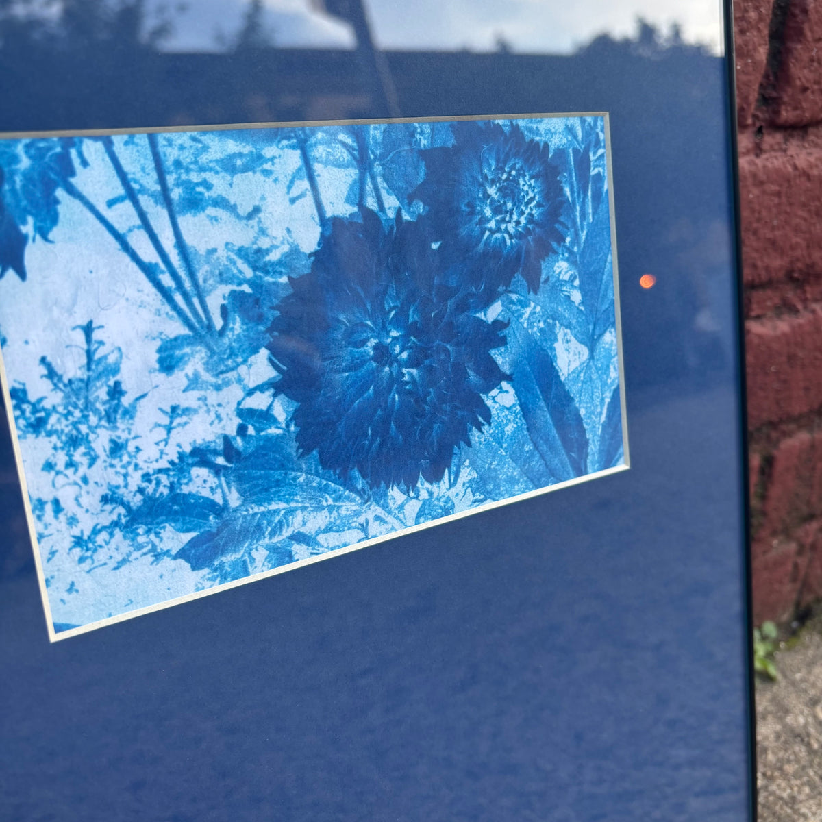 11"x14" Zwei Blumen (Two Flowers)