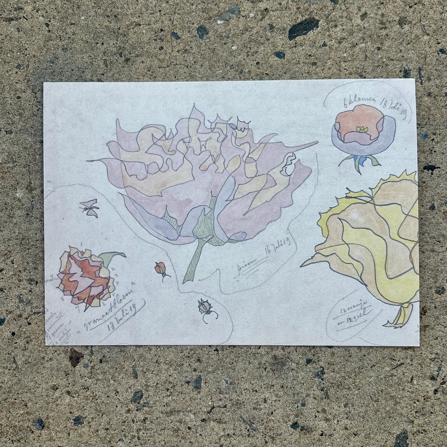 5"x7" Art Postcard Set: Theo Colenbrander