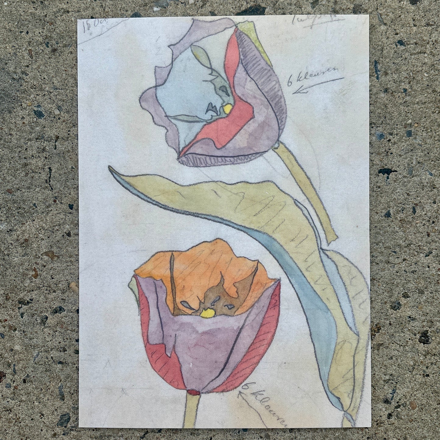 5"x7" Art Postcard Set: Theo Colenbrander