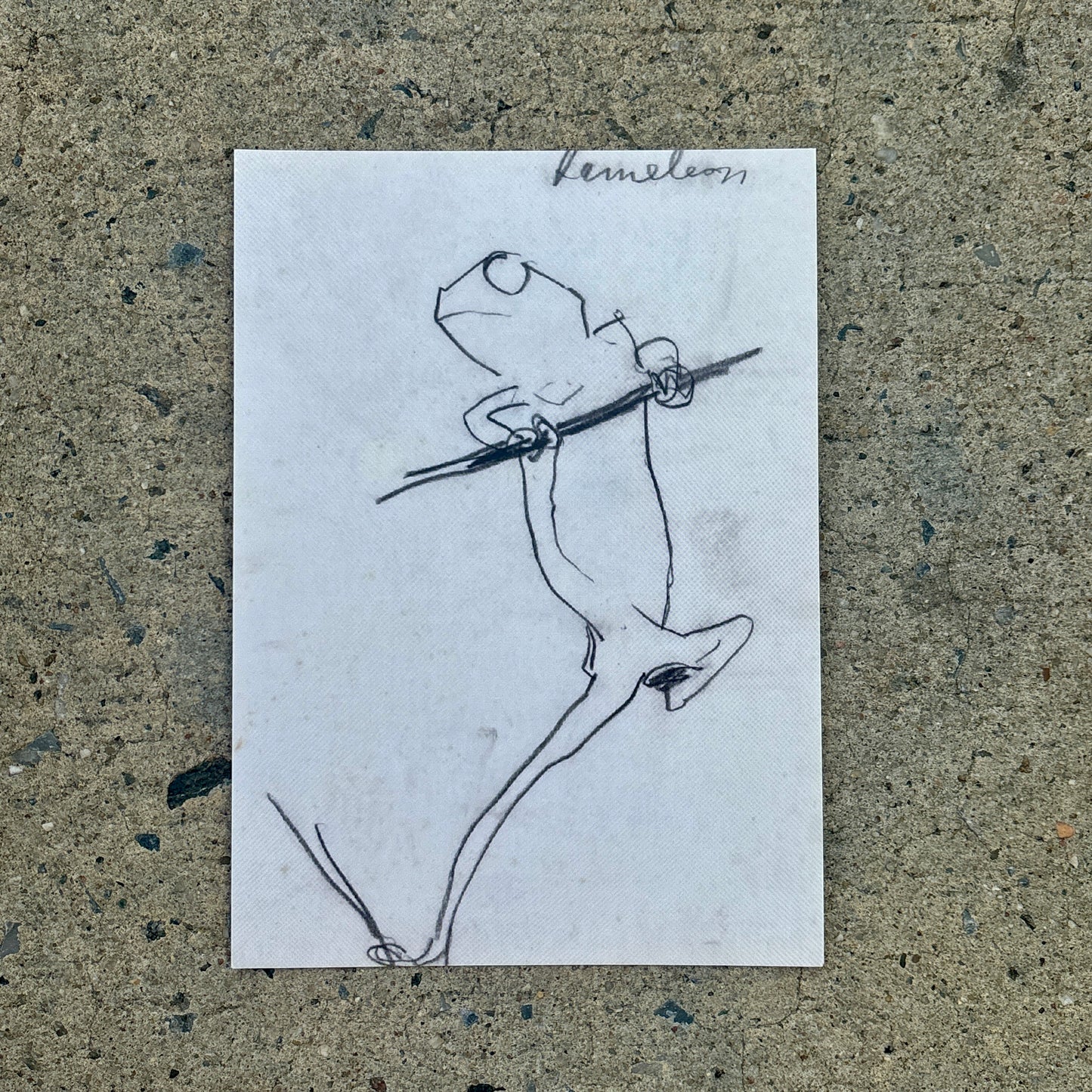 5"x7" Art Postcard Set: Animal Friends