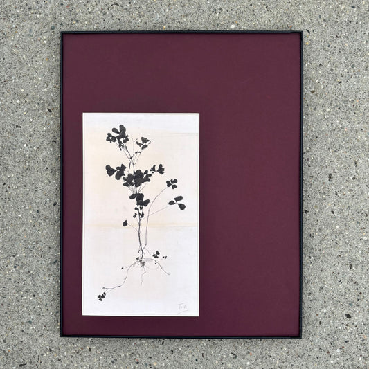 11"x14" Theo Nieuwenhuis – Bloeiende Plant Print