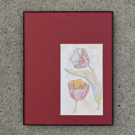 11"x14" Theo Colenbrander – Tulpen Pencil & Watercolor Print